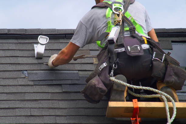 Best Roof Gutter Cleaning  in Pleasant Hill, MS