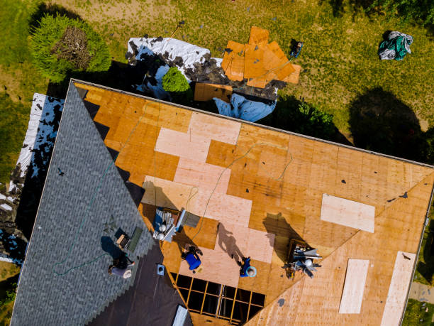 Best Metal Roofing Contractor  in Pleasant Hill, MS